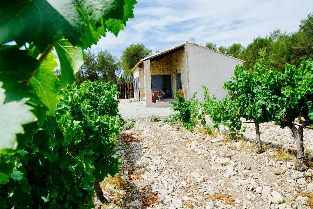 Les Lodges Du Pic Le Triadou 외부 사진