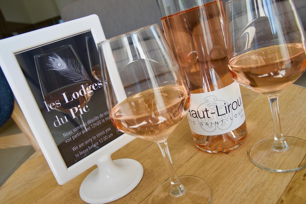 Les Lodges Du Pic Le Triadou 외부 사진
